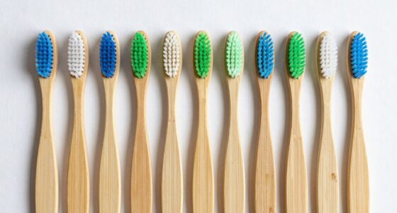 top eco friendly bamboo toothbrushes
