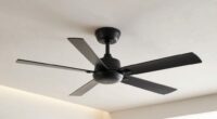 intentional ceiling fan design