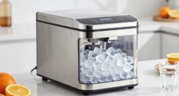 top nugget ice makers