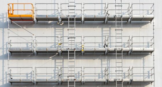 top scaffolding ladder platforms