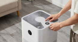 10 Best Air Purifier for Large Room in 2026