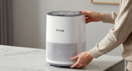 11 Best Best Dehumidifier 70 Pint Energy Star in 2026