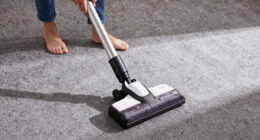 11 Best Carpet Cleaner Machine in 2026