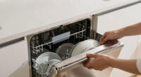 11 Best Dishwasher Quiet Stainless in 2026