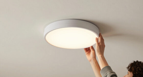 12 Best Flush Mount Ceiling Light in 2026