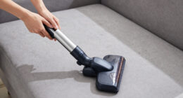 13 Best Upright Vacuum for Pet Hair in 2026