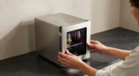 13 Best Wine Cooler For Red And White Wine In 2026