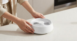 8 Best Ventless Heat Pump Dryer in 2026