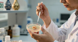 Middle East Reference Strain Fungal Culture - Market Analysis, Forecast, Size, Trends and Insights