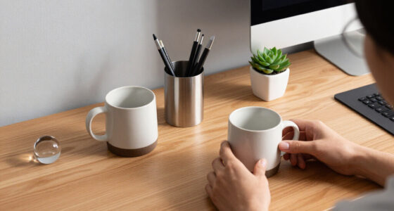 5 Best Decorative Desk Accessories in 2026