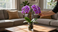 Costco’s $25 Floating Orchids Look Better Than A $500 Florist Arrangement