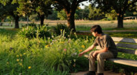 Guide To Activate Undeveloped Parks Of Austin Wins Texas Planning Gold Award - City Of Austin (.Gov)