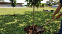 Caio Martins Stadium In Niterói To Become Park And Reservoir
