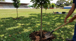 Caio Martins Stadium In Niterói To Become Park And Reservoir