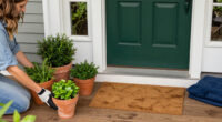 13 Best Curb Appeal Products for a More Welcoming Home in 2027