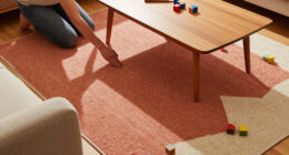 15 Best Area Rugs for Comfortable, Practical Rooms in 2027