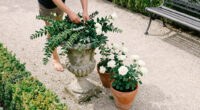 8 Best Stately Garden Decor for 2027
