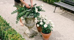 8 Best Stately Garden Decor for 2027